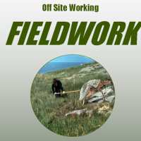 Filedwork