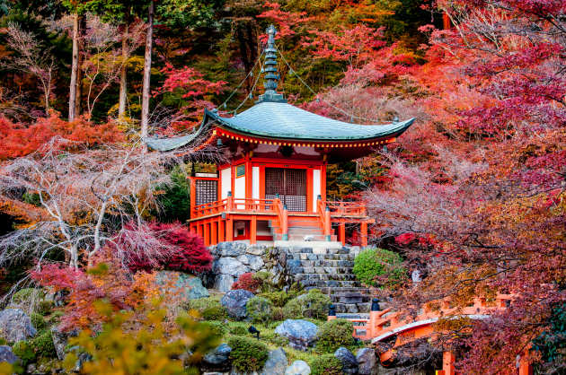 Japanese Temple