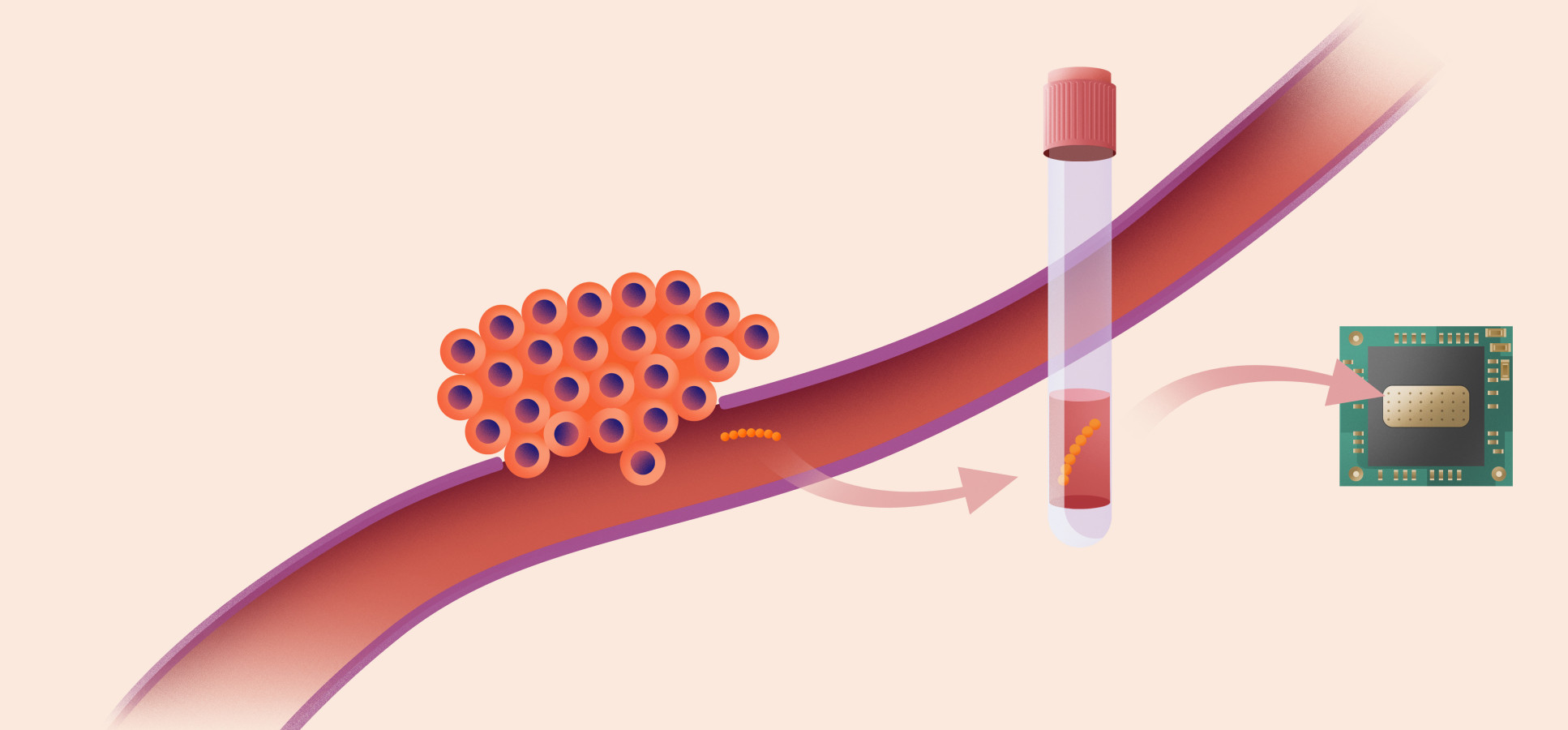 A diagram illustration showing the process for detecting cell-free DNA