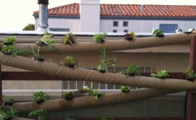 Hydroponics