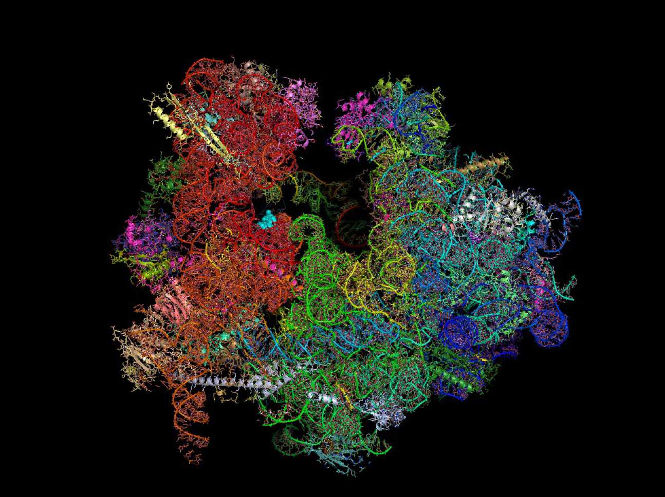 A Molecular map of the malaria parasite 