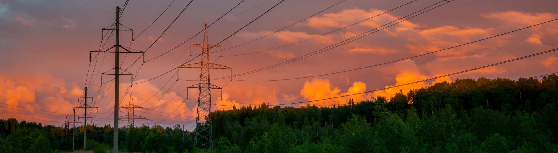 Pylons at dusk