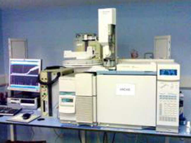 Agilent 6890N GC