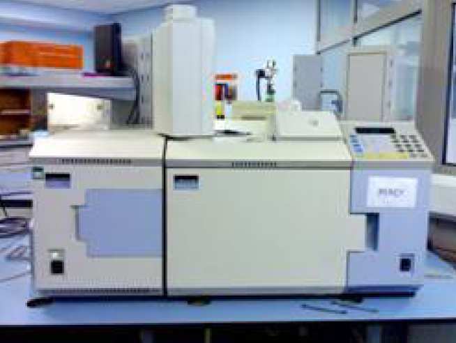 Perkin-Elmer TurboMass GC