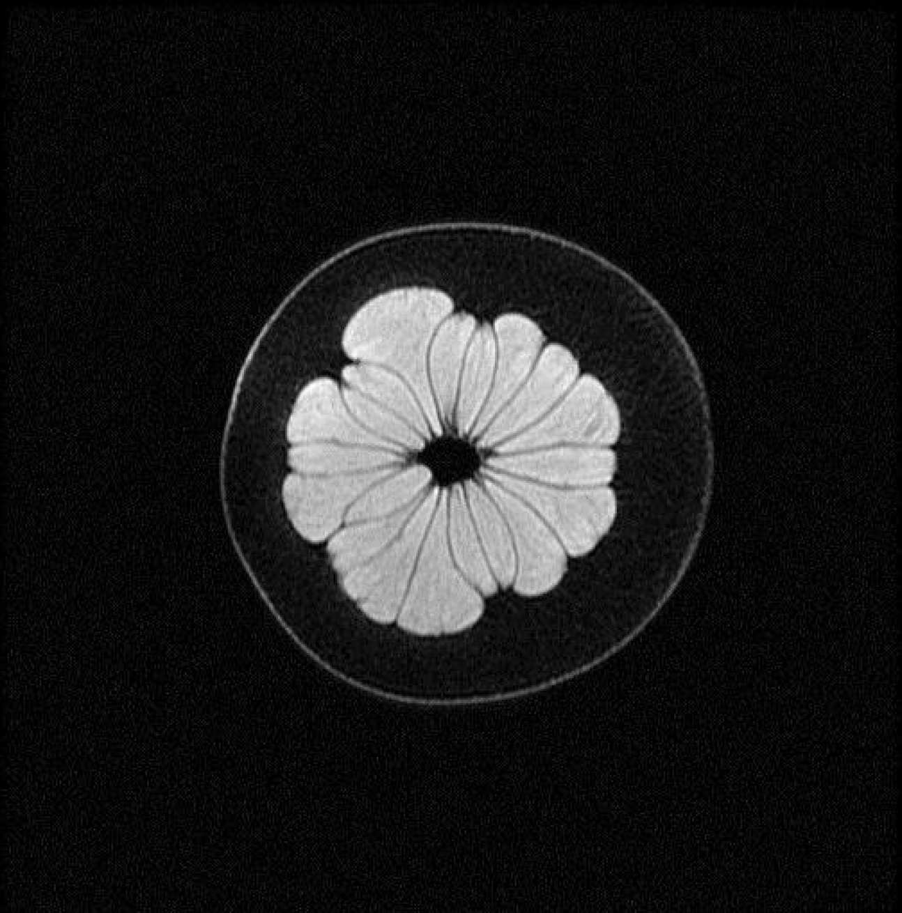 1H MR images of pomelo fruit 