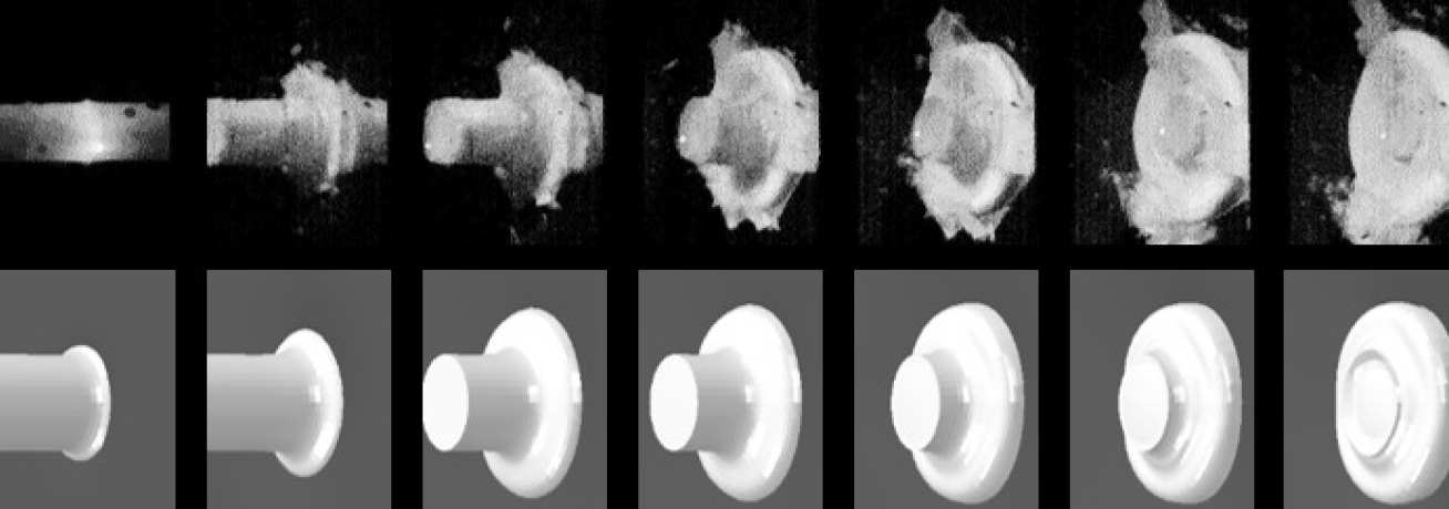 figure 2 bird strike