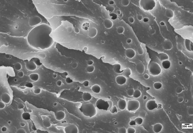 Scanning electron microscope (SEM) image of fracture surface of hybrid core-shell rubber particle and nanosilica-modified epoxy