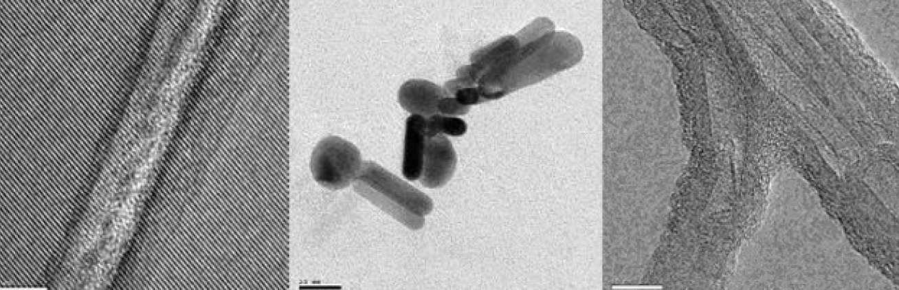 a defect, gold nanoparticles, and wall thickness of carbon nanotubes.