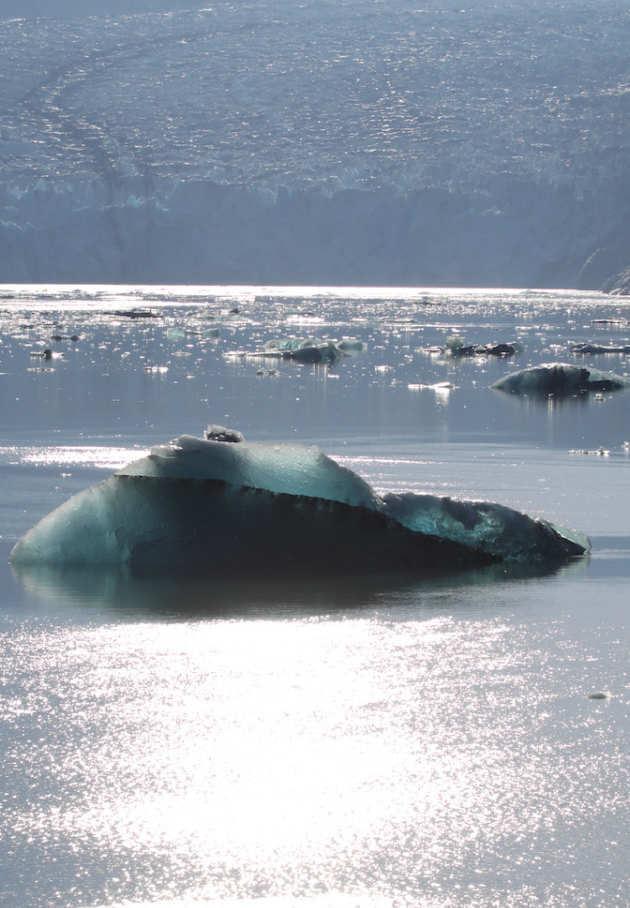 Calm picture of reflective water and icebergs