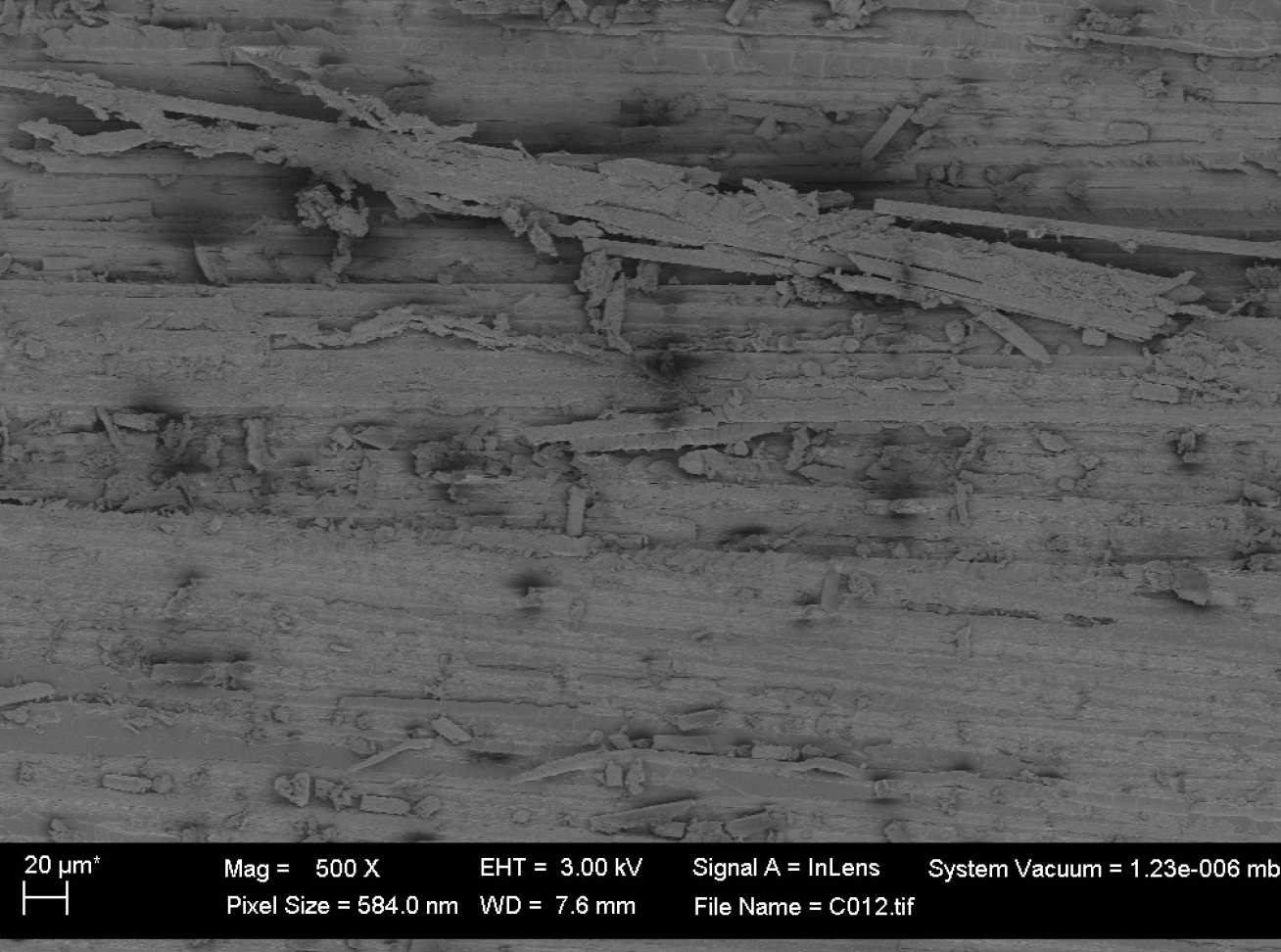 Scanning electron micrograph of fracture surface of CFRP with modified sizing agents after mode I interlaminar fracture test