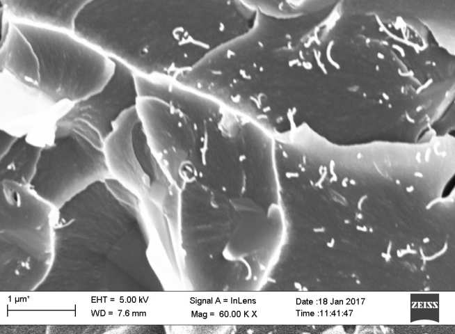 FEG-SEM image of the fractured surface of 1.00 wt% GNP-CNT (9:1 mass ratio)/epoxy composite, illustrating pulled out CNTs.