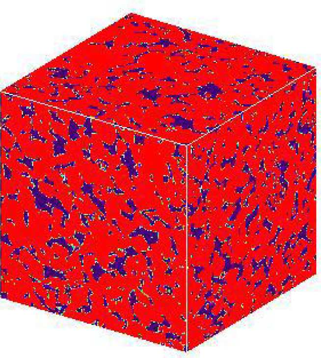 3D Section of Micro CT image used for Network Extraction