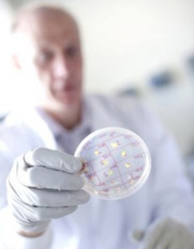 Professor Freemont holding a petri dish with 8 samples to the camera