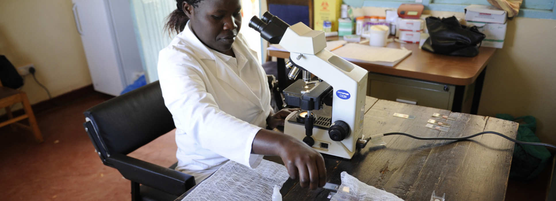 A member of research staff examining samples under a microscope