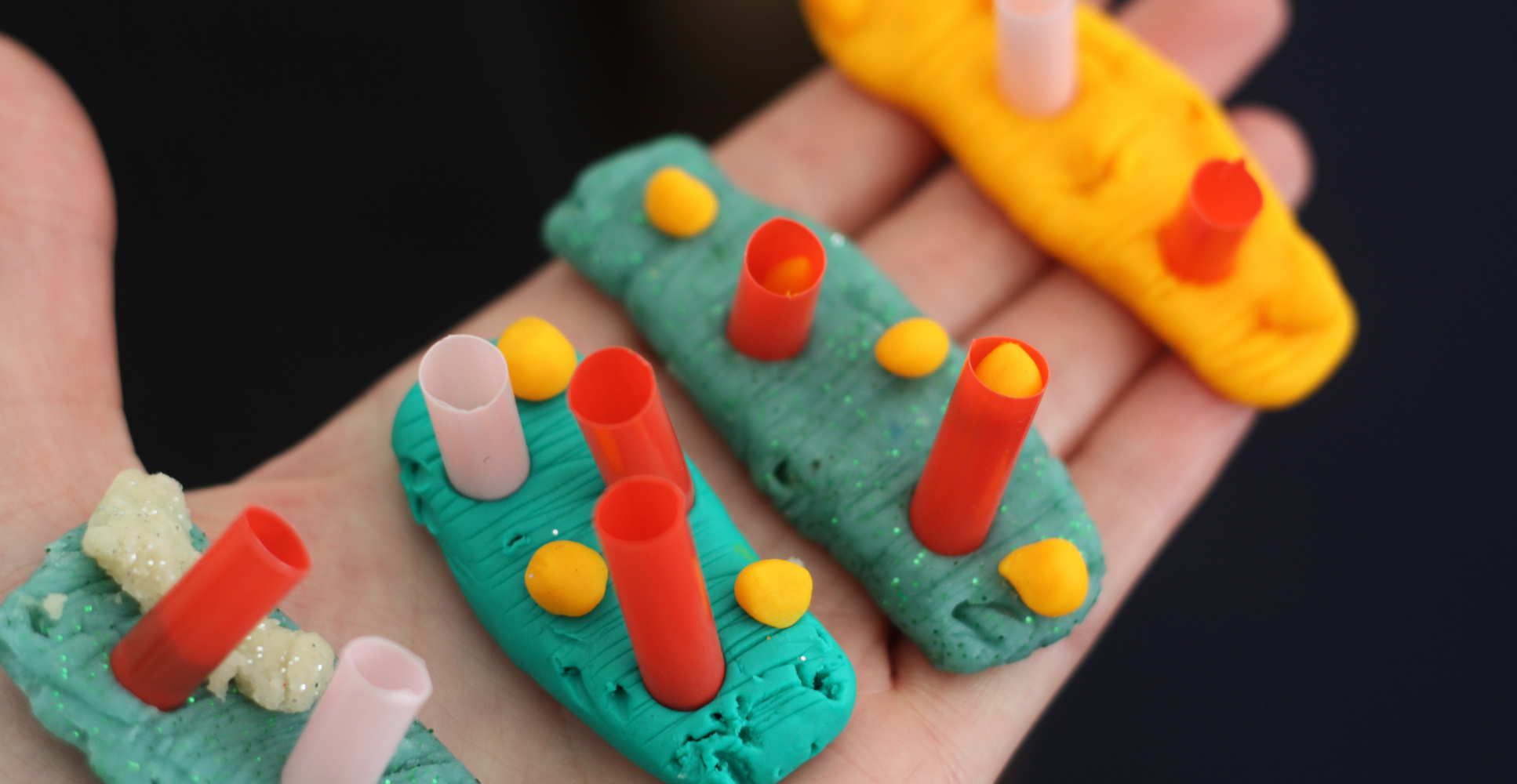 Plasticine heart cells