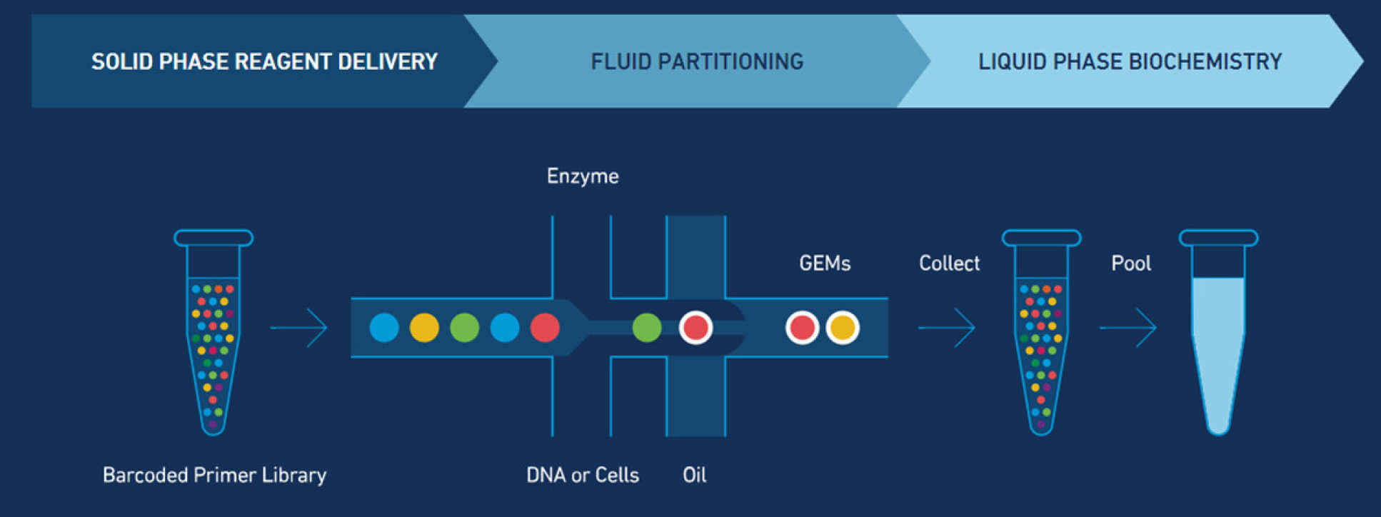 10X Genomics workflow