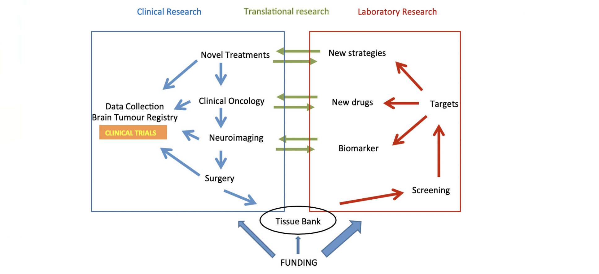 Research process