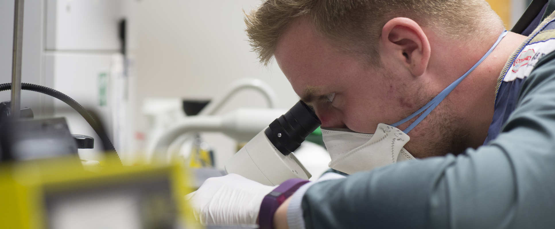 Researcher uses microscope