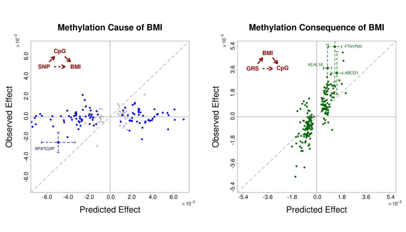 Two graphs from a study on Body Mass Index