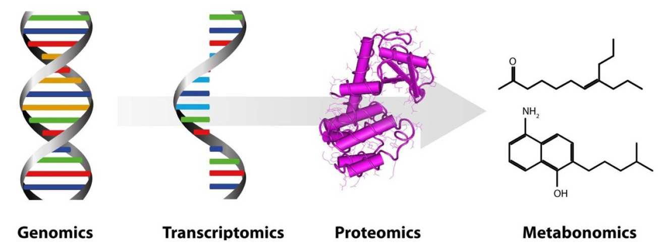 Omics