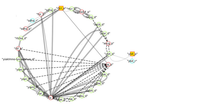 Visualisation of molecular pathways linking bacterial proteins. Credit: Professor Martin Buck.