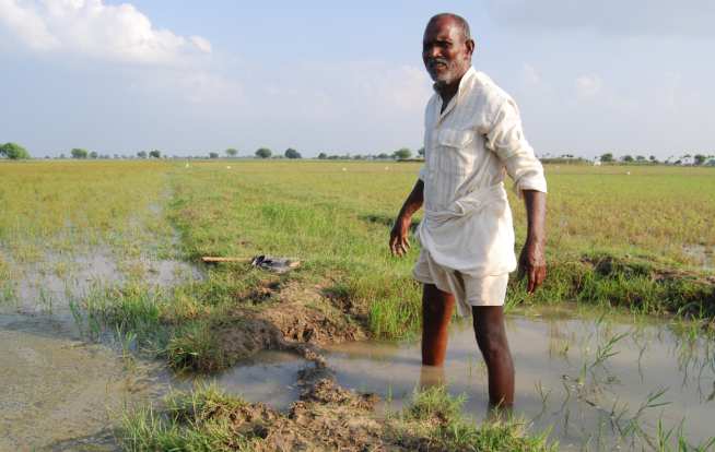 Farmer channelling water from a nearby canal into his fields