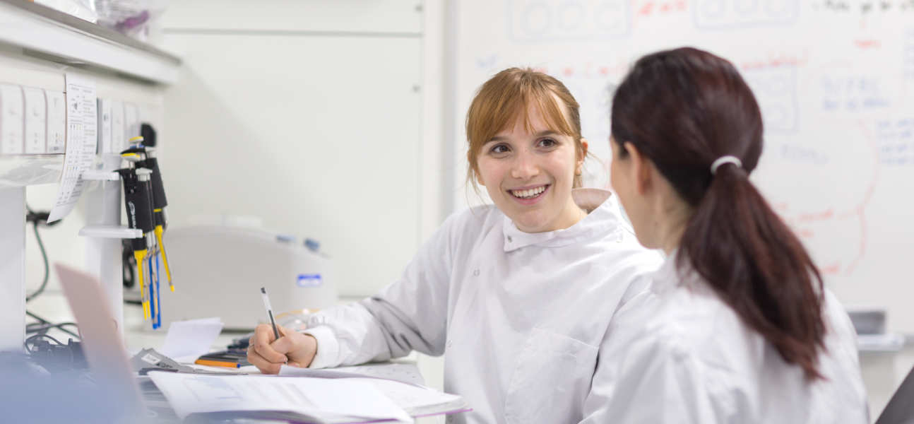 Students working together in a lab