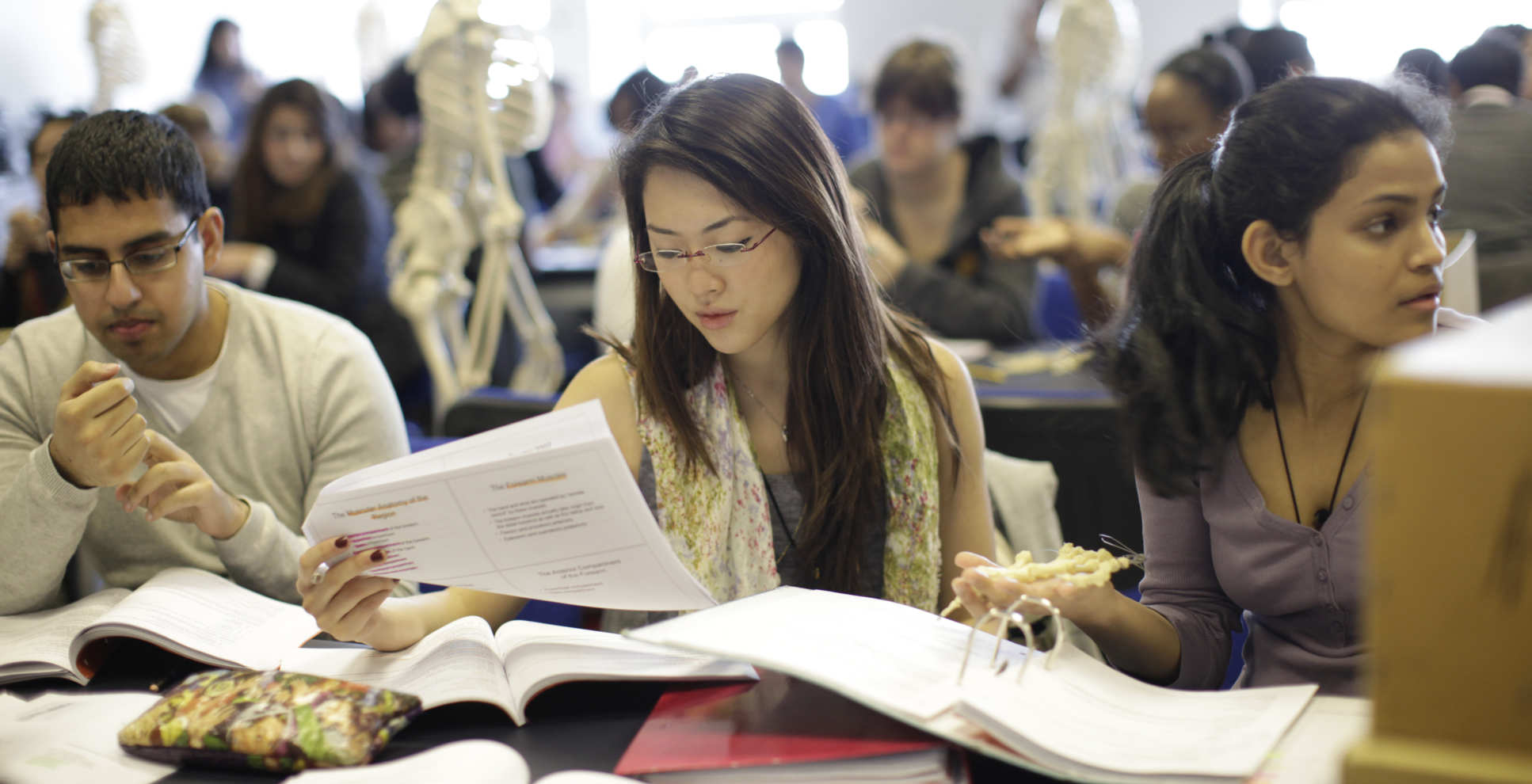 Student studying some notes