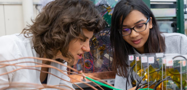 Researchers inspecting equipment