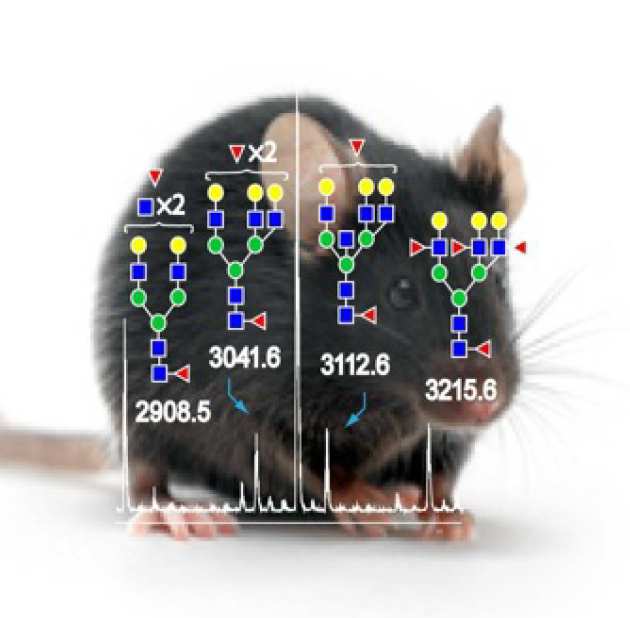 Glycomics