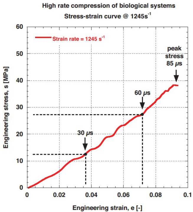 Figure 25