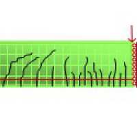 Objective modelling of reinforced concrete