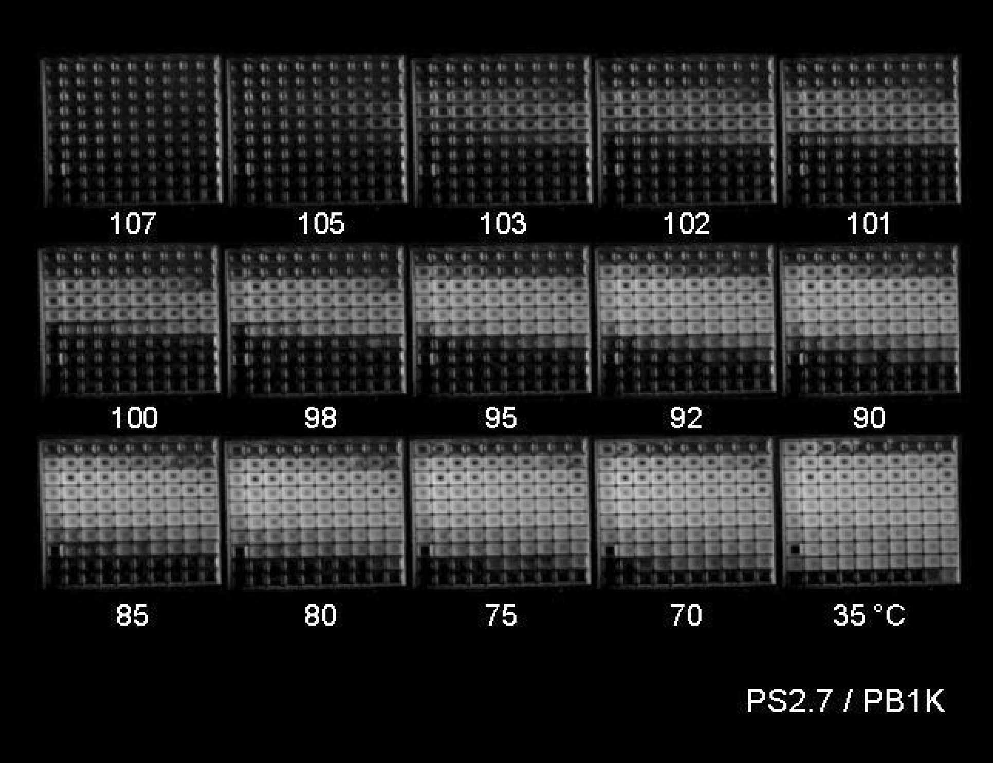 Combinatorial phase behaviour