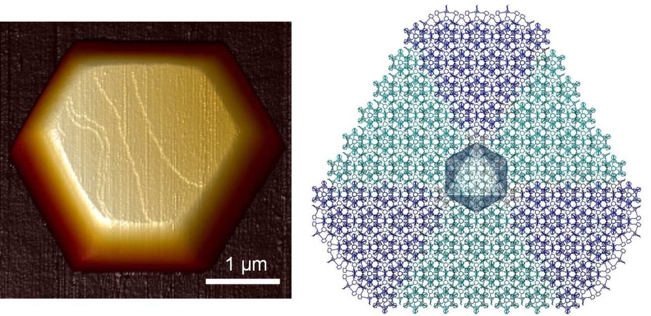 2D cage crystals