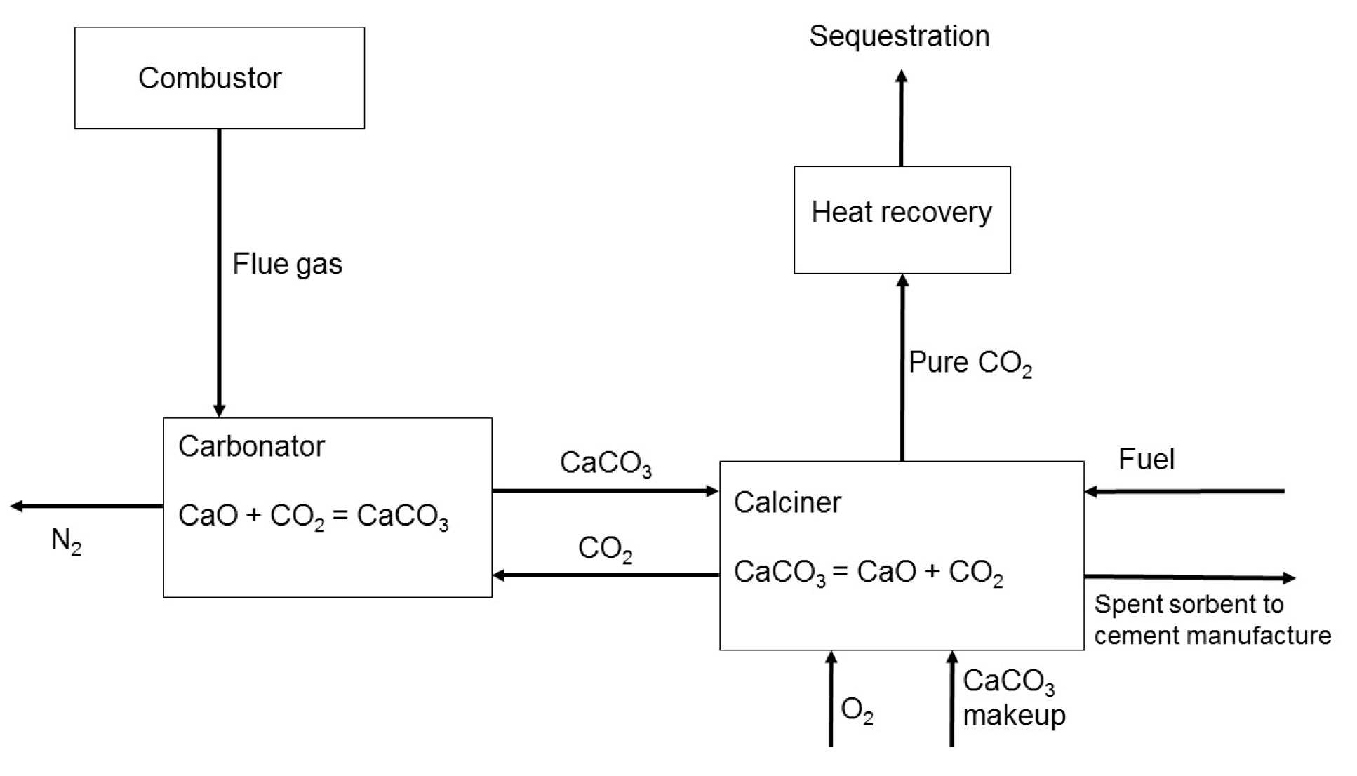 Calcium looping image