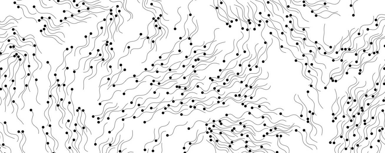 Collective motion of swimming cells