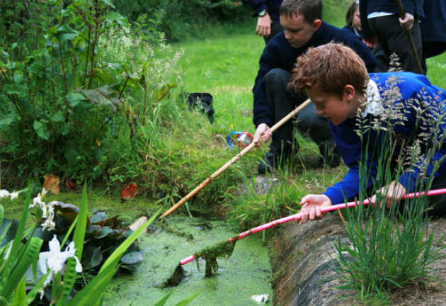 pond dipping