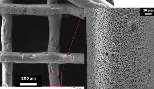 Robocasted Scaffold