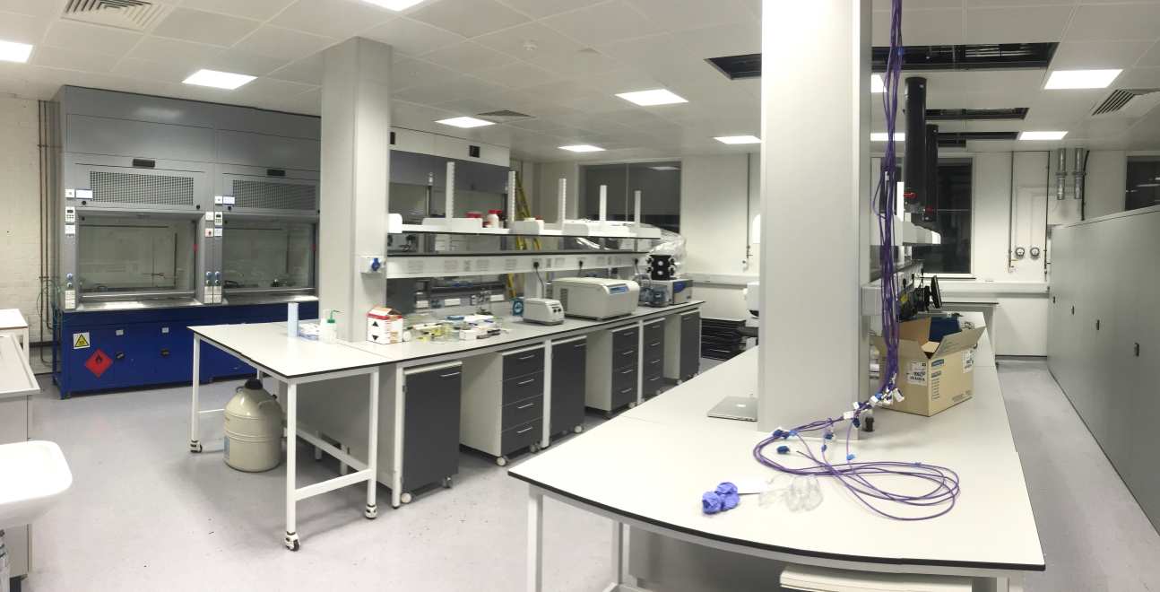 Lab