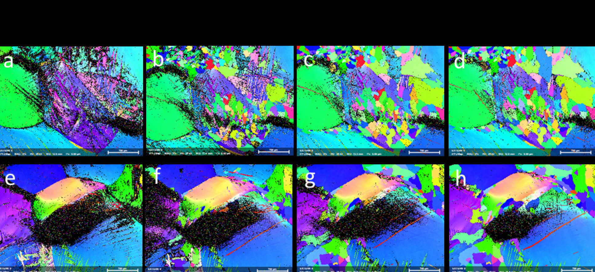 The microstructure evolution of deformed pure magnesium during static recrystallization process 