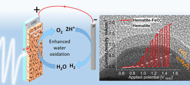 TOC image of Walsh et al.