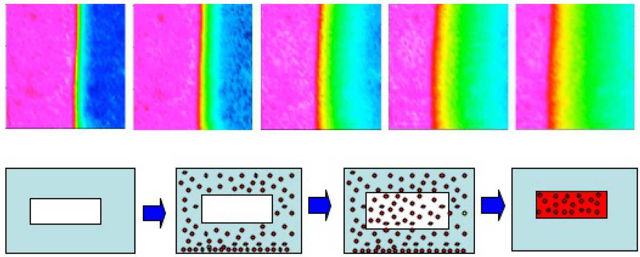 Polymer diffusion