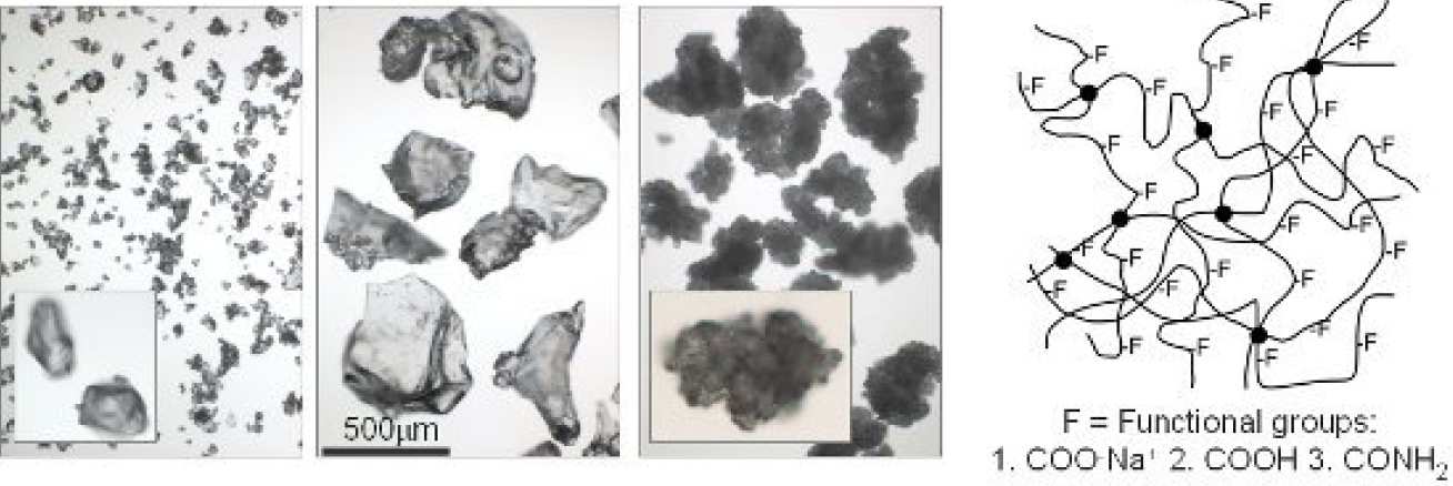 Fig 2: Optical micrographs of different types of SAP and schematic representation of a cross-linked SAP network.