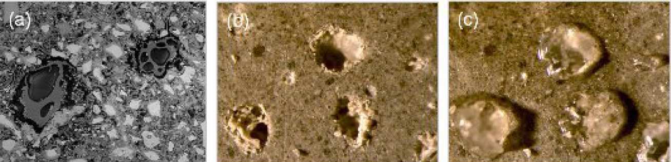 Fig 4: Backscattered electron micrograph (a) and area-matching stereo micrographs of cement paste containing SAP before (b) and after (c) wetting with tap water.