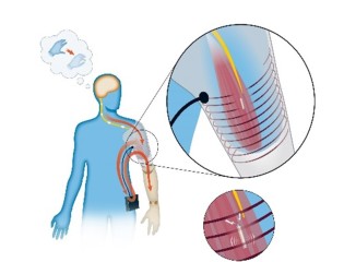 NeuralInterfaceImage