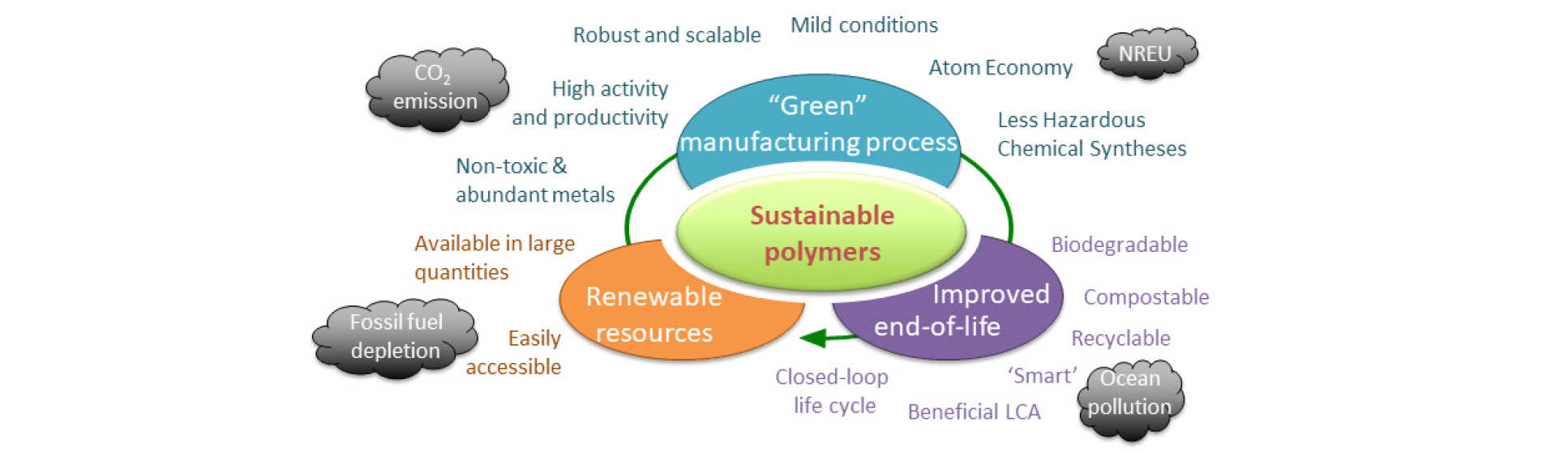 Infographic showing the Romain Group's research focus