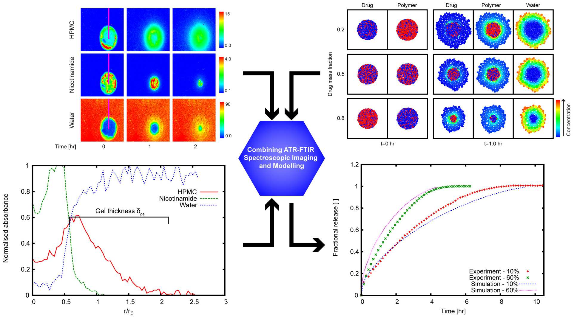 Combining ATR-FTIR imaging and modelling