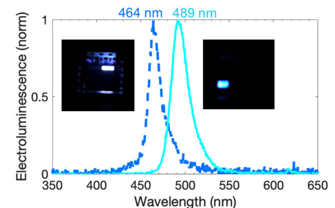 Perovskite LEDs