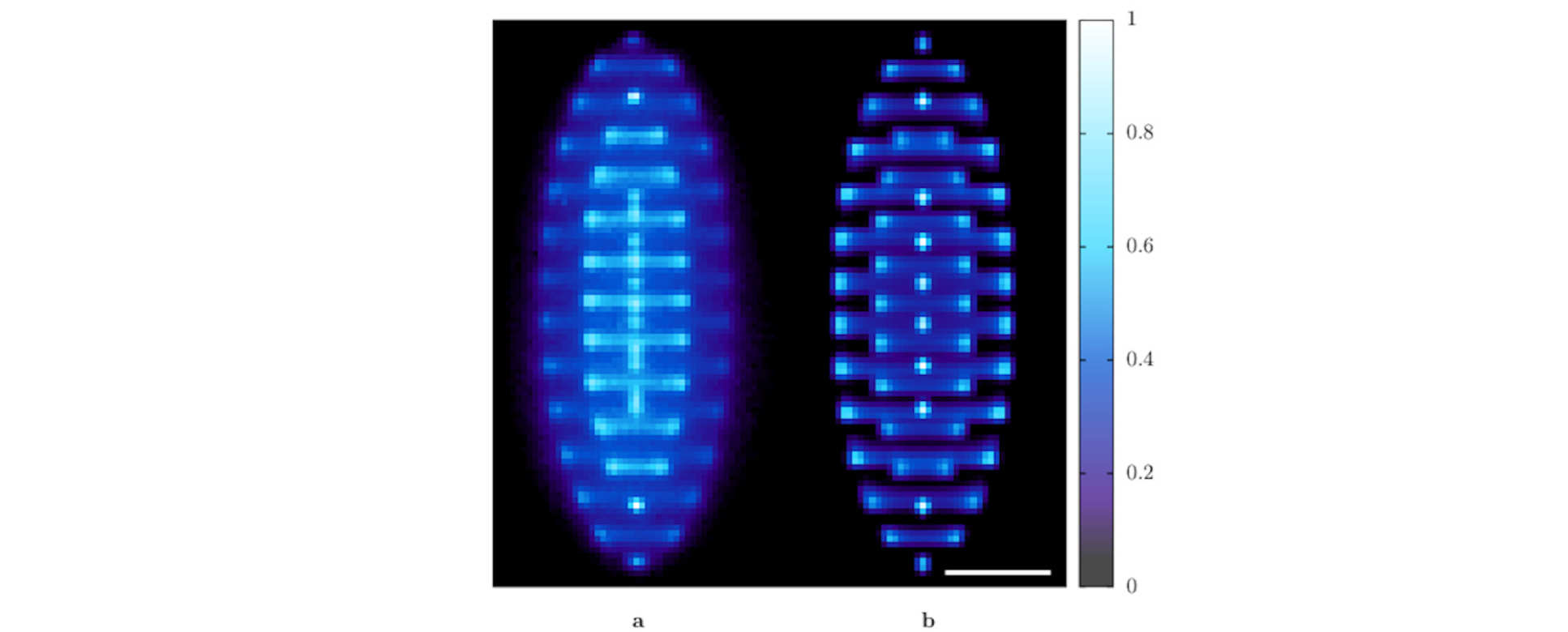 Figure 1 cited from [1]