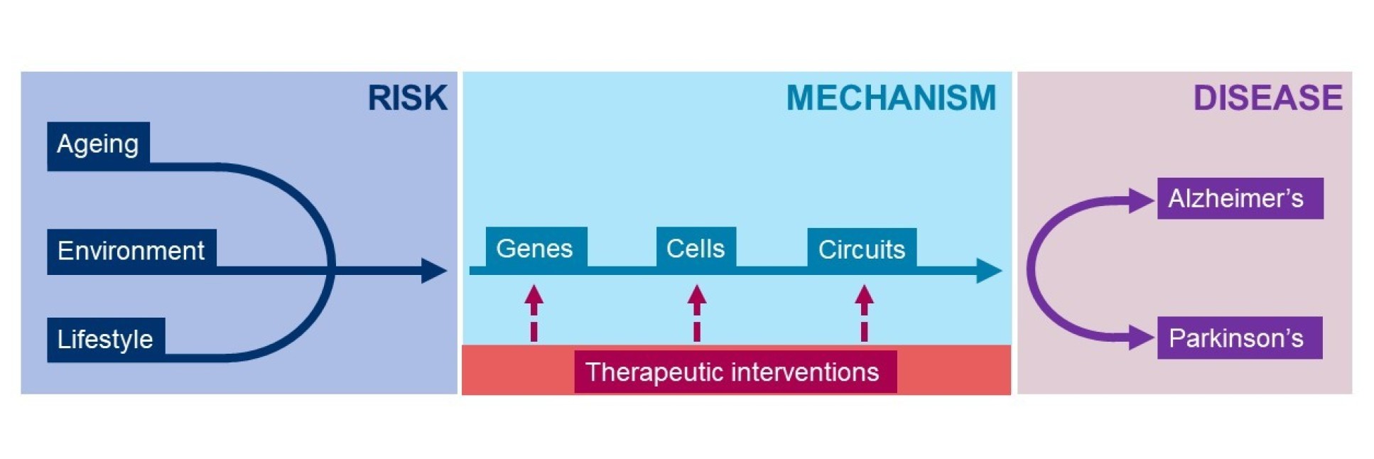 UK DRI therapeutic aims in diagram